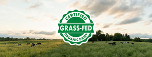 Demystifying Food Labels: Organic, Free Range, Grass-Fed, and Bioavailable – What Do They Really Mean?
