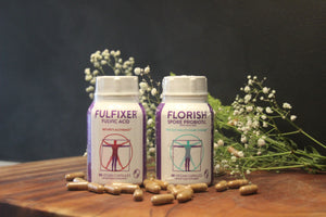 FLORISH Spore Probiotic and Fulvic Acid - the Gut-Health Game Changer