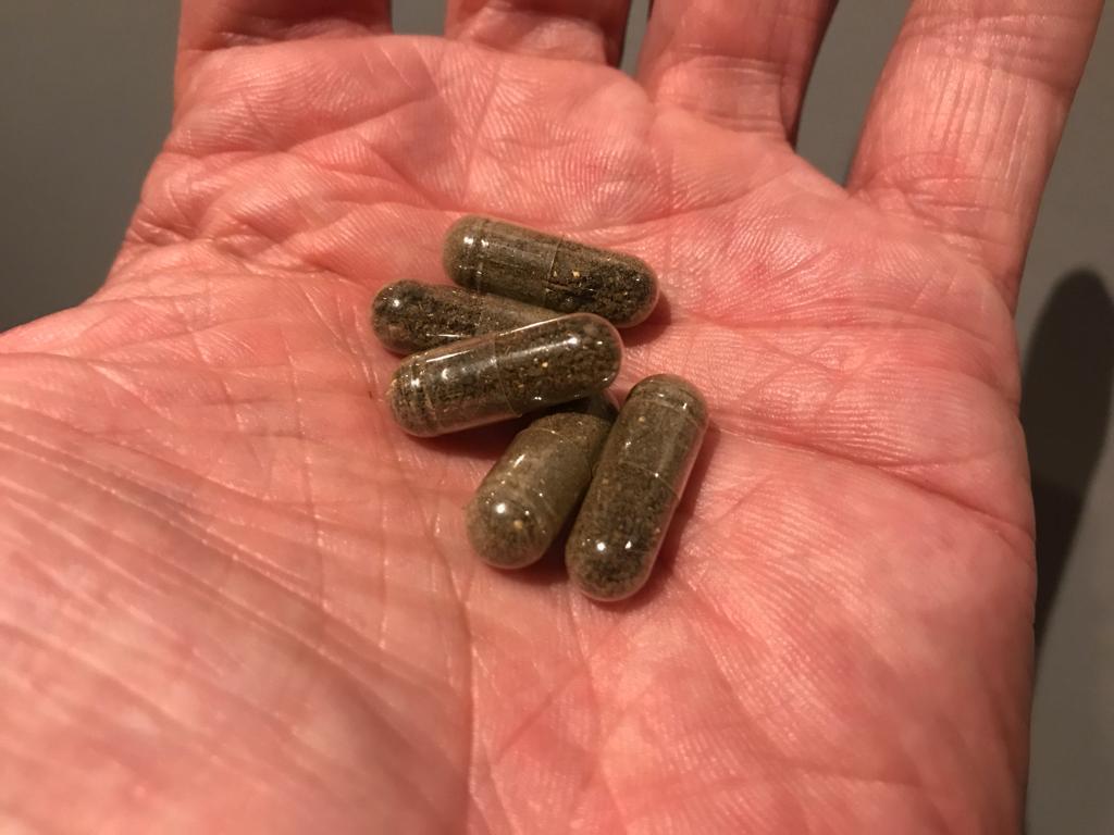 Spore Probiotics - The New Paradigm in Gut Restoration Therapy