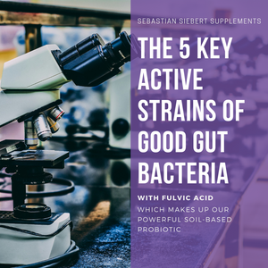 Unlocking the Power of Spore Probiotics: The 5 Key Strains in FLORISH Spore Probiotic with Fulvic Acid
