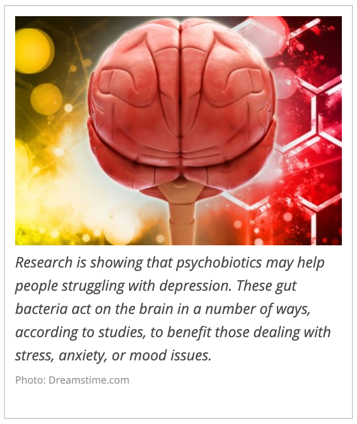 Psychobiotics: Probiotics That May Impact Mood