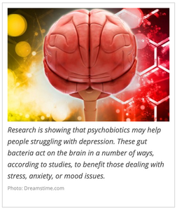 Psychobiotics: Probiotics That May Impact Mood