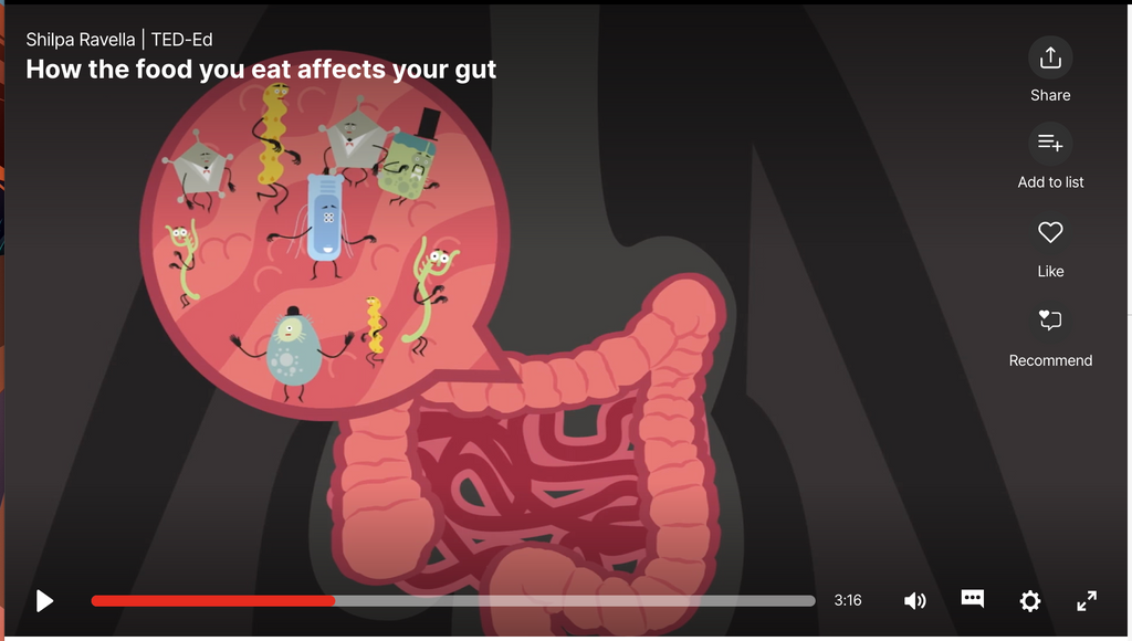 How The Food You Eat Affects Your Gut