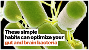 How to optimize your gut and brain bacteria | Dave Asprey | Big Think