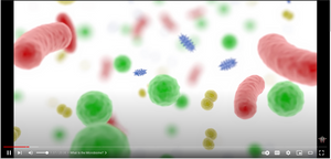 The Bacteria That Live INSIDE of You — The Microbiome