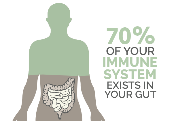 Oral spore-based probiotic supplementation study