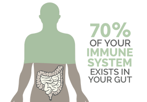 Oral spore-based probiotic supplementation study