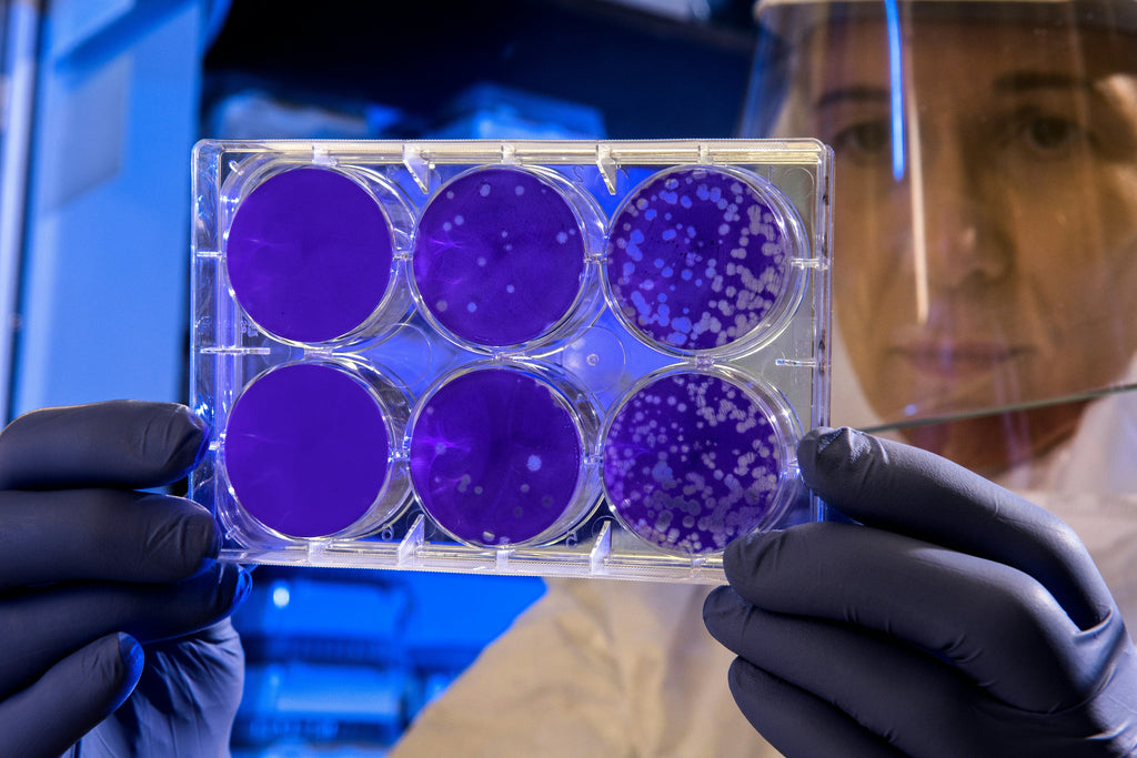 Unlocking the Power of Stem Cells: Recovery from Chronic Disease Through Diet and Supplements