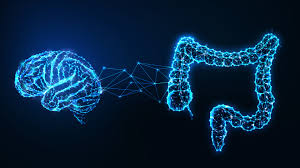 The Brain-Gut Barrier: Why a Healthy Gut Microbiome is Key to Overall Wellness