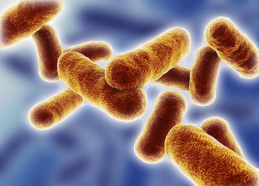 Research Paper: Antibiotics produced by Bacillus subtilis