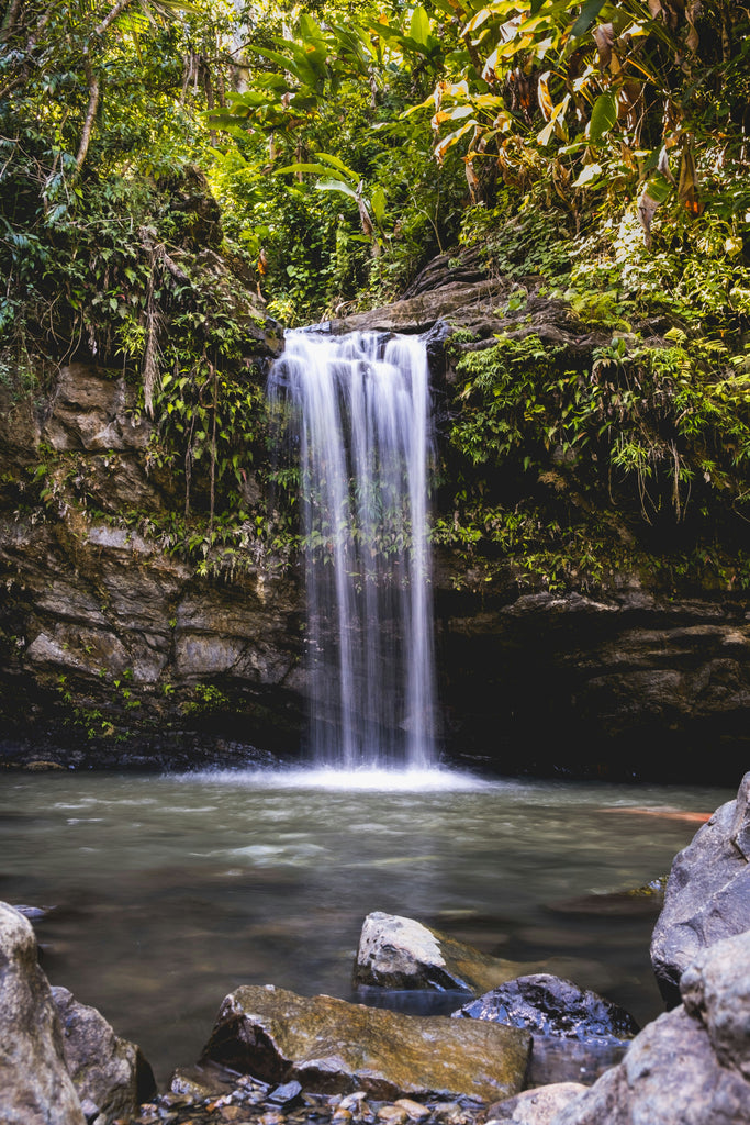 The Importance of Hydration When Supplementing with FLORISH: What Water Should You Be Drinking?