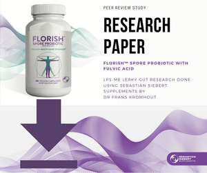 Research Paper Link